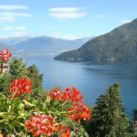 Maggiore