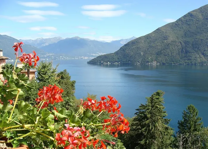 Maggiore